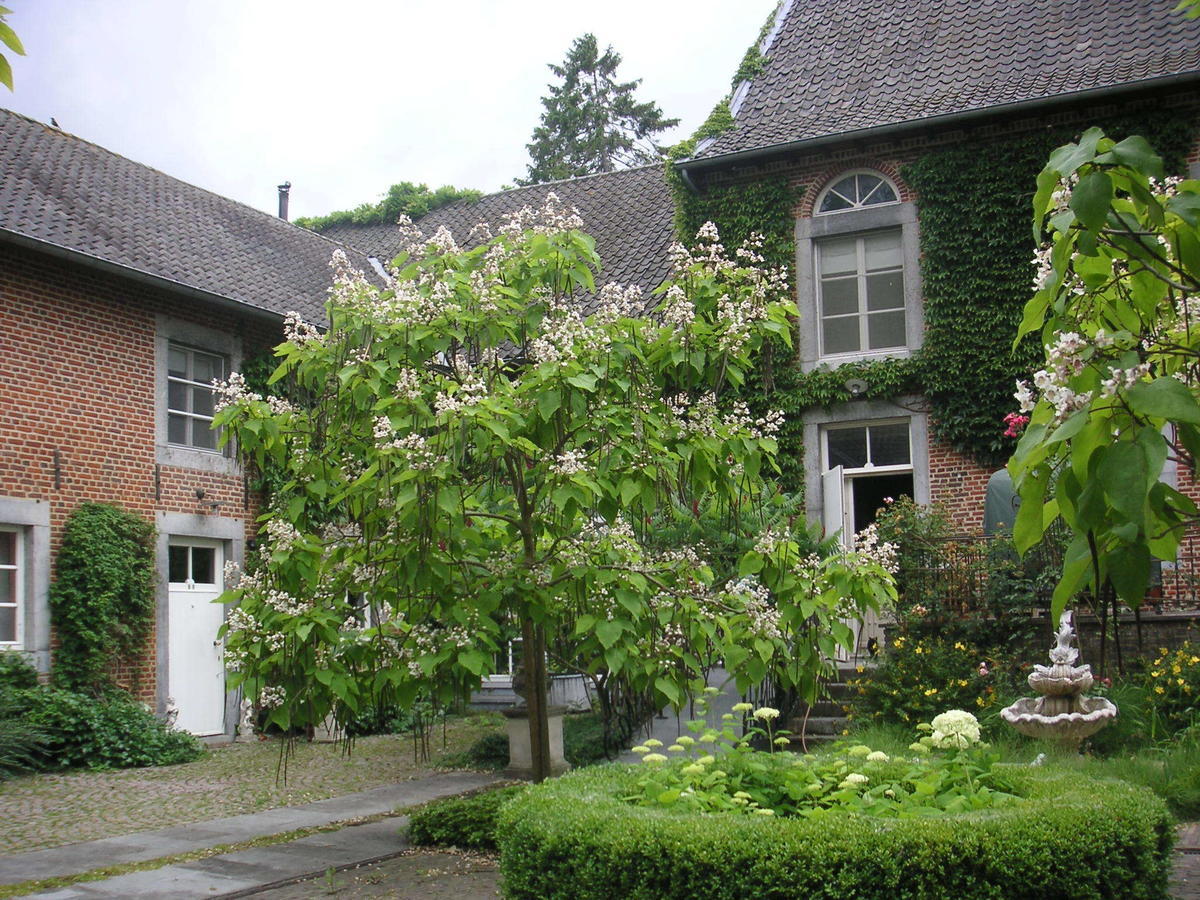 Heers Vakantie Huizen De Heerlijkheid Satenberghヴィラ エクステリア 写真